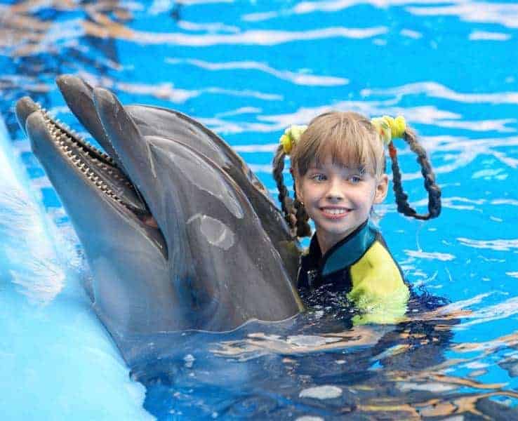 Read more about the article 12 Best Places to Swim with Dolphins. An Amazing Bucket List Experience