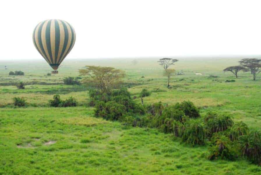 Serengeti balloon