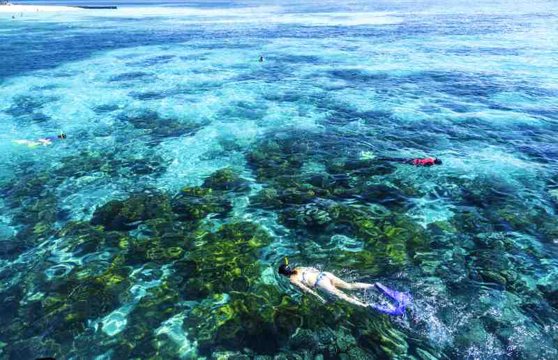 Great Barrier Reef-queensalnd-australia