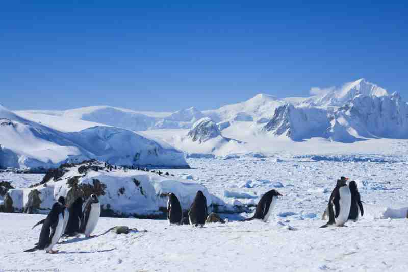 the snowy hills of Antarctica