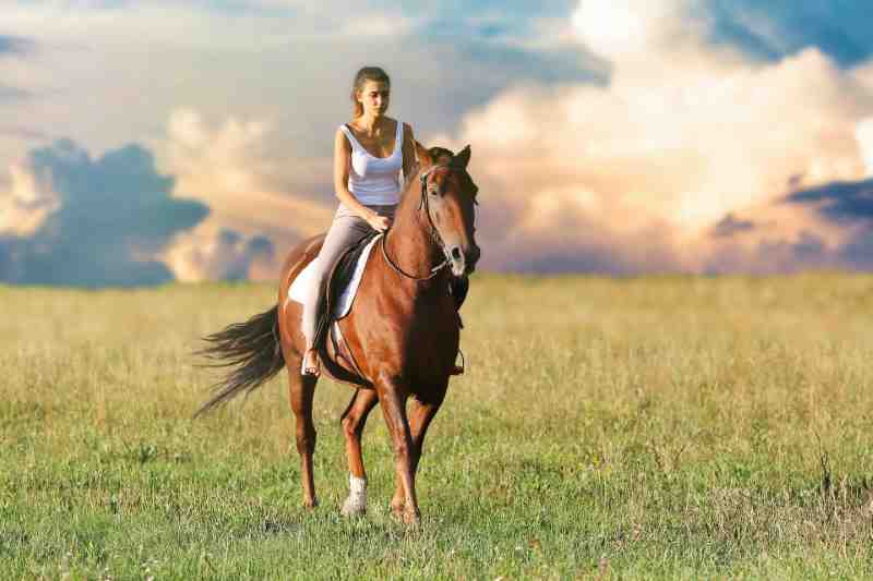 go horseback riding