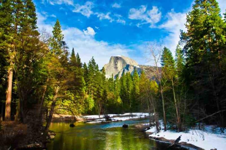 Read more about the article Yosemite vs Yellowstone: How to Choose Between the Two 