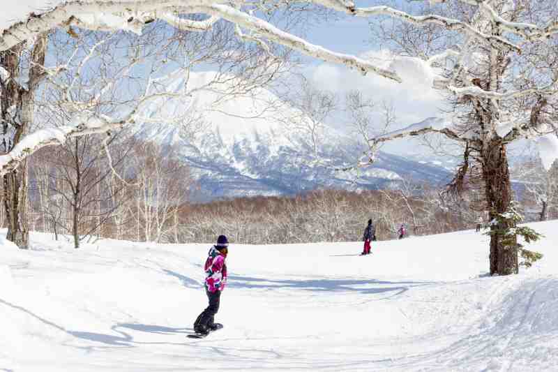 Niseko Japan snowboarding